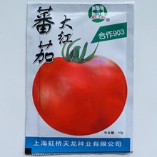 上海虹桥合作903大红番茄种子自封顶苹果高原型沙瓤西红柿种籽孑