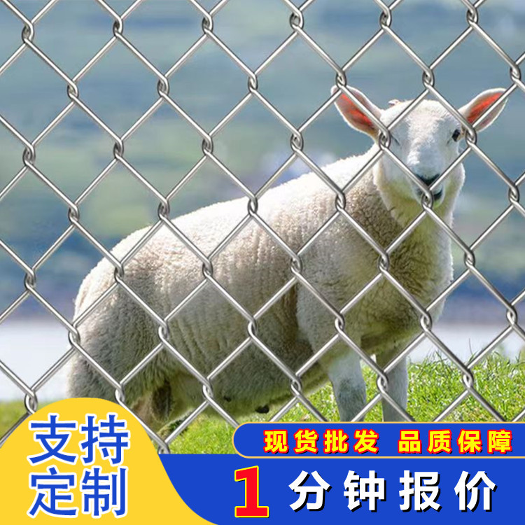 镀锌勾花网户外动物养殖庭院花园装饰隔离防护网包塑球场围栏