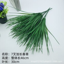 ������L���� ���ݾGɫֲ��С�����ϲݾGֲ �廨��� ���������