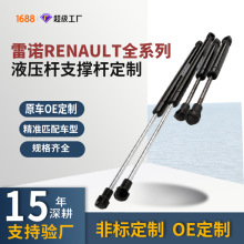 ��������ŵRenaultϵ�е�������β�������֧�Ÿ����Ÿ�������