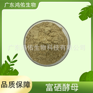 ������ĸ ��ĸ�� ʳƷ�� ԭ�� ����àI�B������