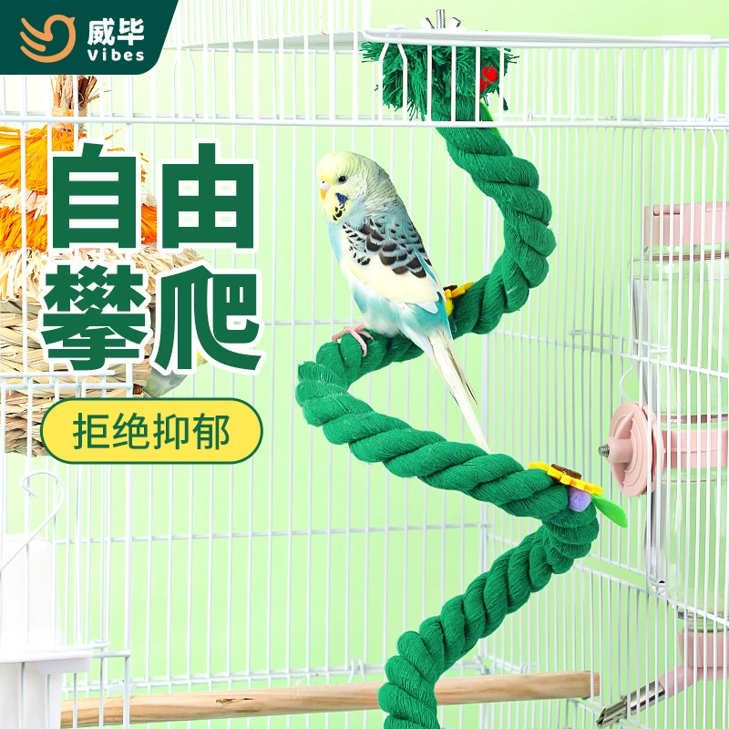 Птицы украшают вращающуюся клетку для качелей