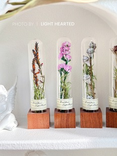 Vintage Glass Cover Plant Specimen Glass Test Tube Dried Flower Eternal Flower Graduation Christmas Holiday Girlfriend Birthday Gift