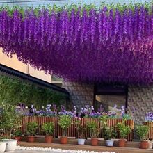 �������ٻ����_�m�Ƶ����҃Ȼ�c�b��ٗl��������ֲ�����l����