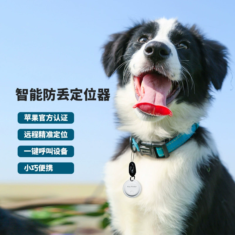 Сертифицированный MFI для Apple Find My Global Find Locococide анти-потерянные животные в реальном времени
