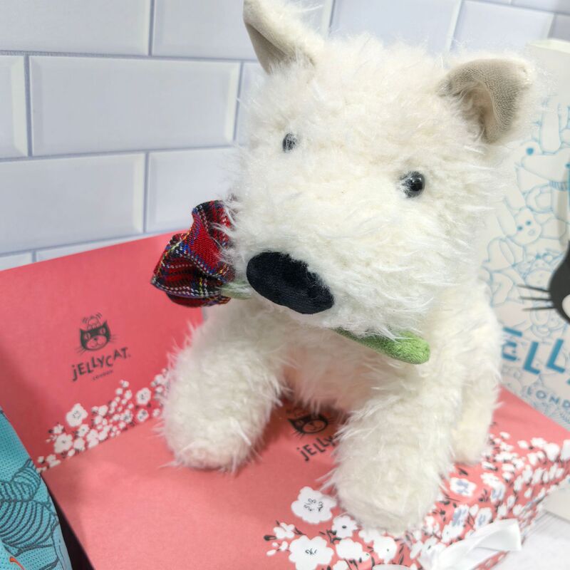イギリスjellycatセシルひよこ雌鶏クルーニー雄鶏ぬいぐるみぬいぐるみ人形卸売り|undefined