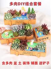 ����DIY΢���^��F����ֲ��M�������ײͲ��ϰ��������Gֲ�[��