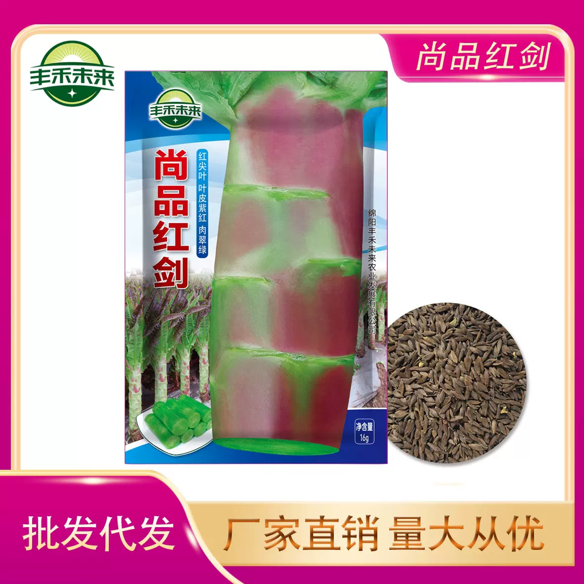 当季新种推荐莴苣种子尚品红剑莴笋种籽田园庭院盆栽大田蔬菜种子