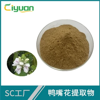 鸭嘴花提取物10:1 鸭嘴花粉 慈缘生物SC工厂批发 多种规格供应
