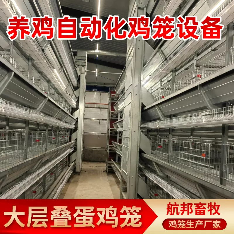 大层叠蛋鸡养殖设备厂家 大规模养殖全自动捡蛋喂料框架笼蛋鸡笼