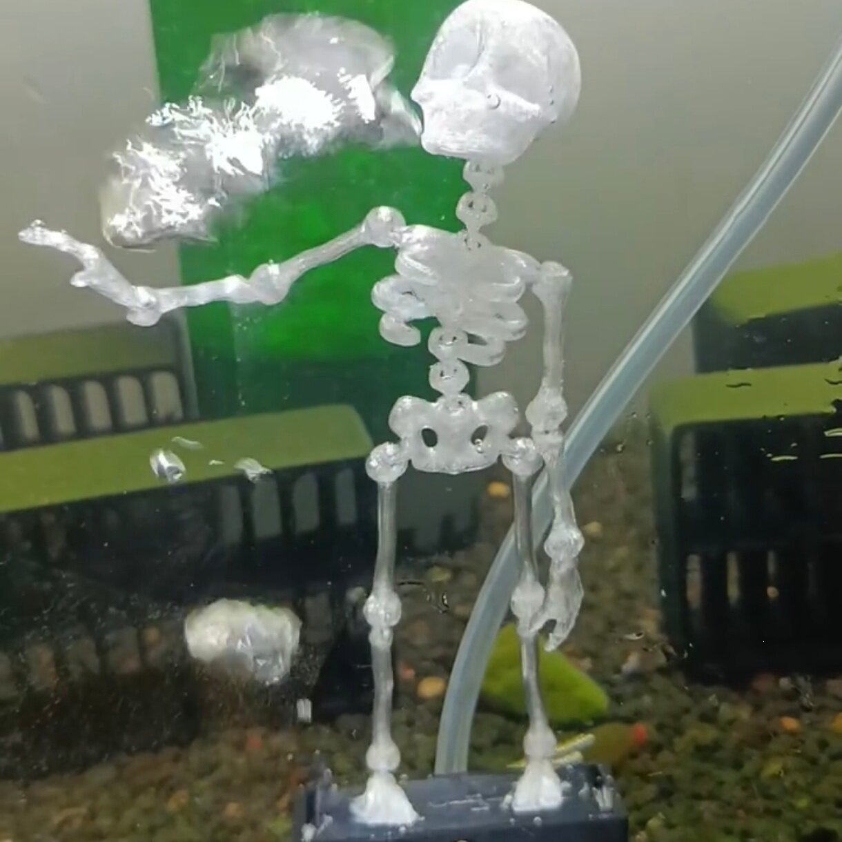 Articulated skeleton aquarium ornament detail