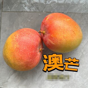 ��â��â���tâ�O��â���rˮ�����]