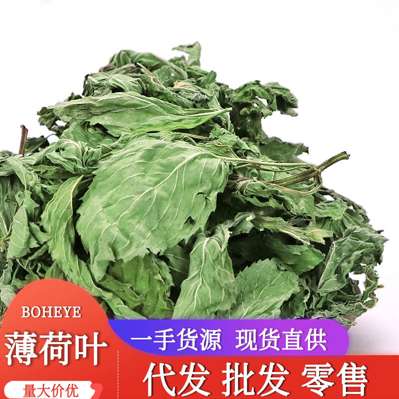 卉源堂 散装批发薄荷叶 薄荷清凉茶大薄荷叶薄荷茶量大从优
