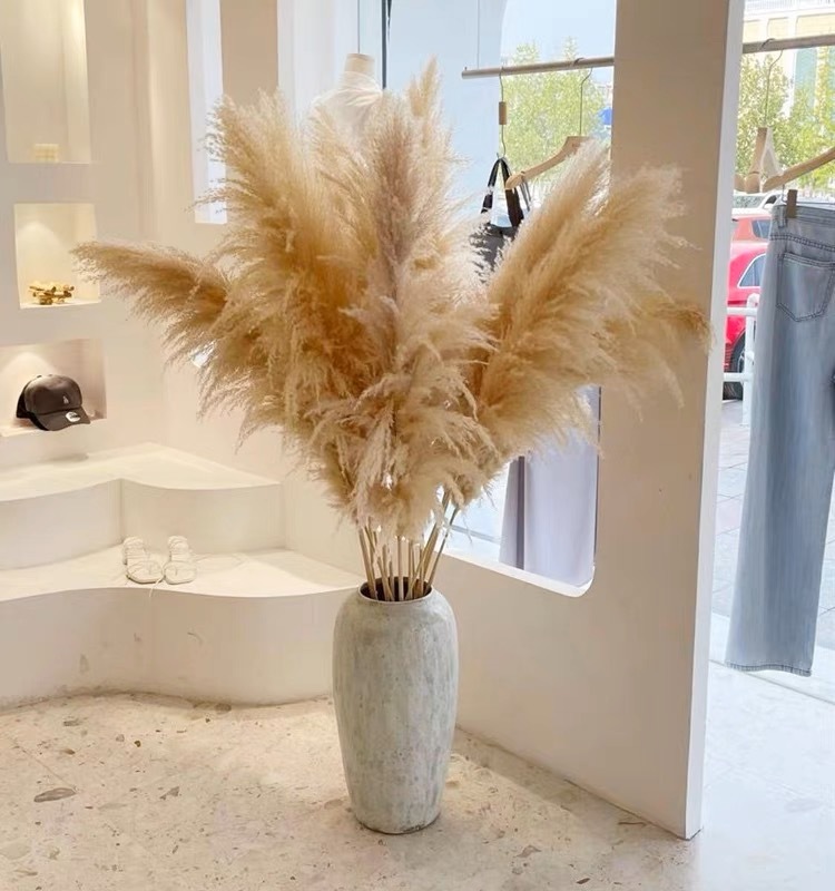 fa4f72e45bc92025892354dd4dbc29