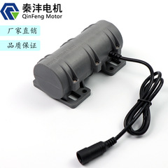 R3650 dc 12V/24V振动モーターマッサージベッド振动モーターブレ粒子フィード理学疗法アクセサリー