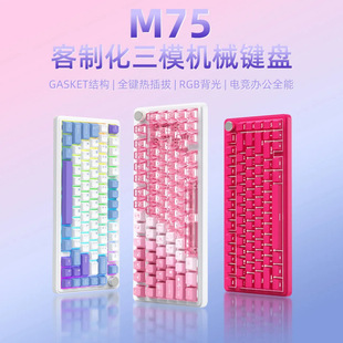 ����M75�Cе�I�PRGB��ģ�o���{�������S�ȿ��Α���ƻ��I�P�羳