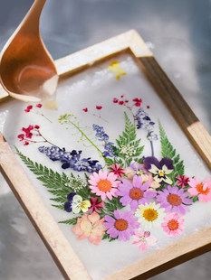 �ŷ��켈�g���ϰ����b ��ͯ�ֹ�diy���{ľ��Y���WС�W������