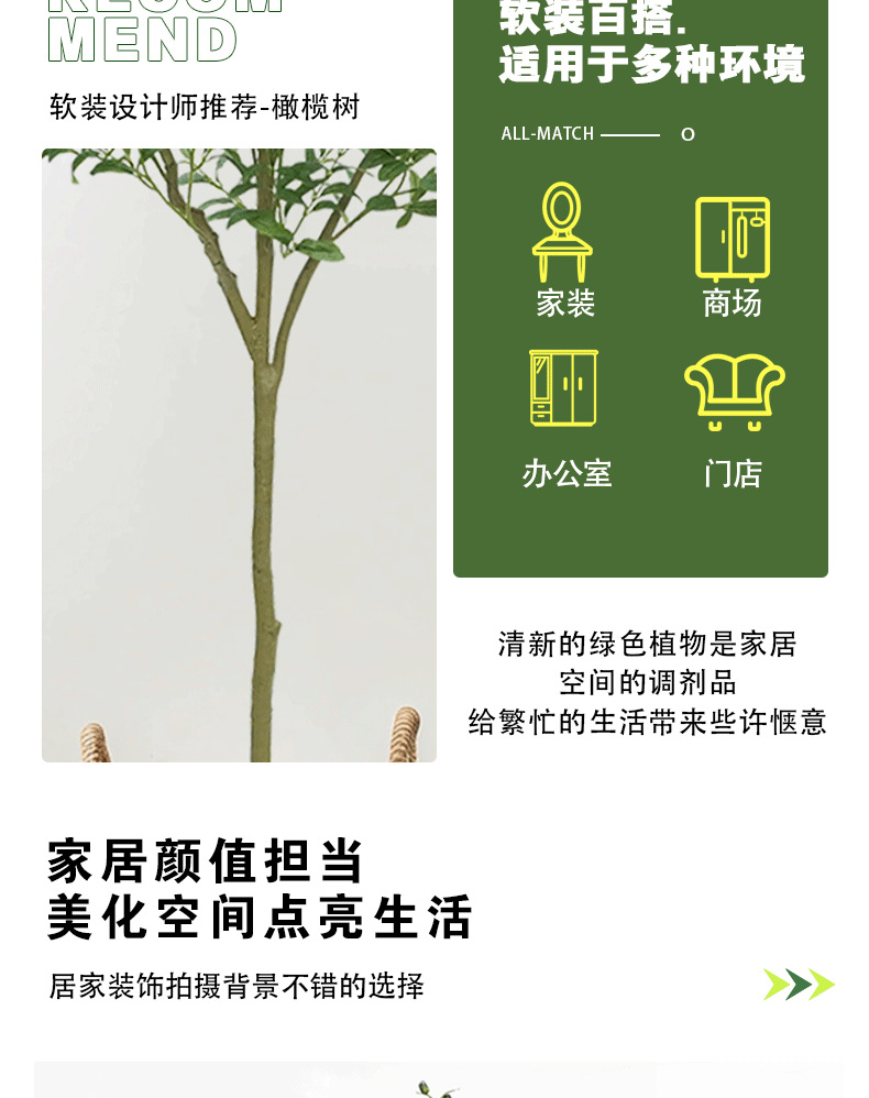 橄榄树详情页_05.png