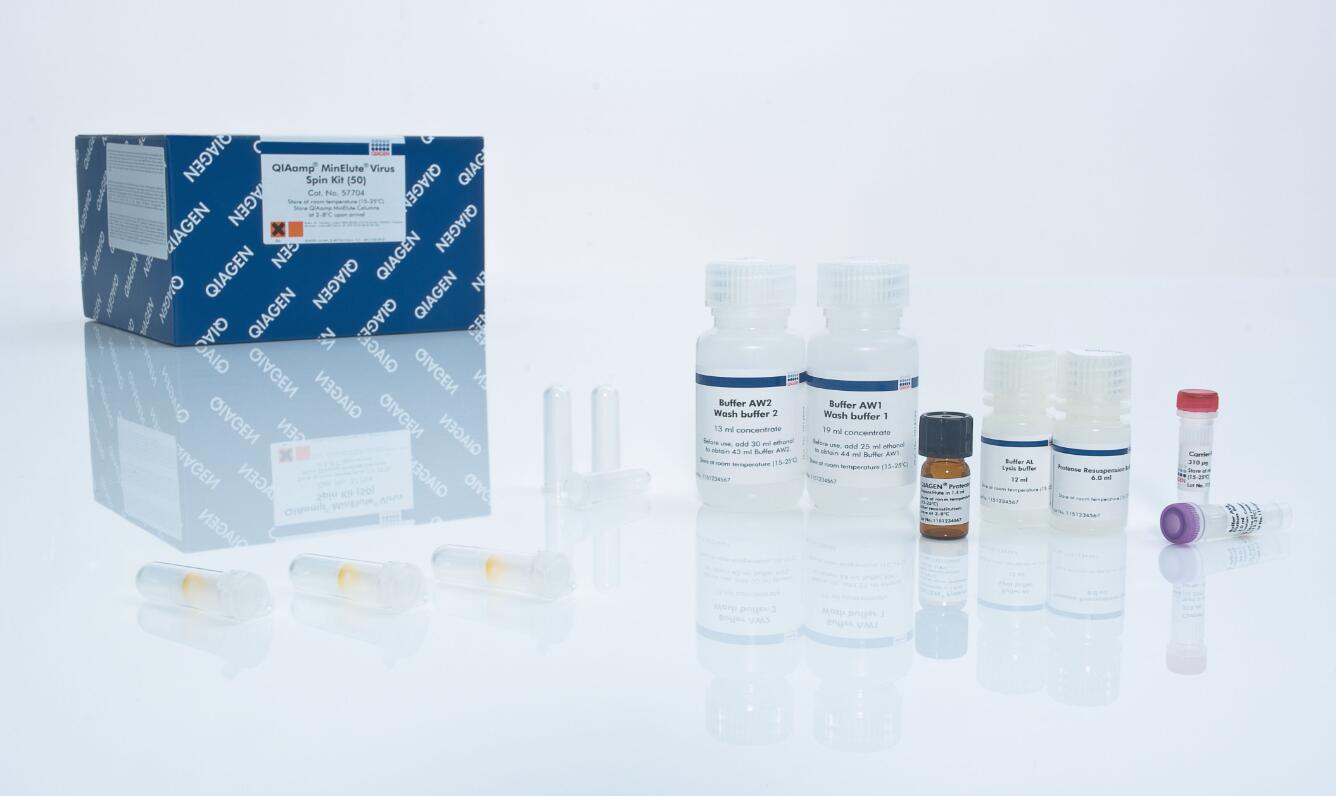 凯杰Qiagen  57704病毒  RNA/DNA纯化试剂盒