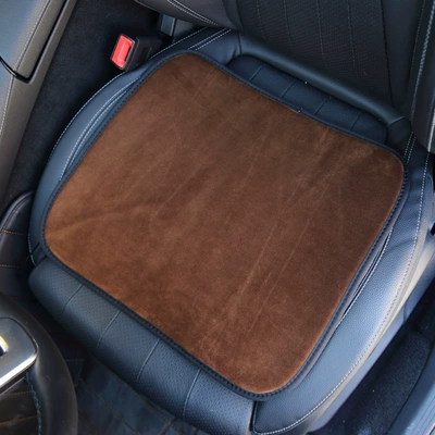 Cushion USB Electric Heating, Multi-function pad - ordinary-heated-brown-trumpet