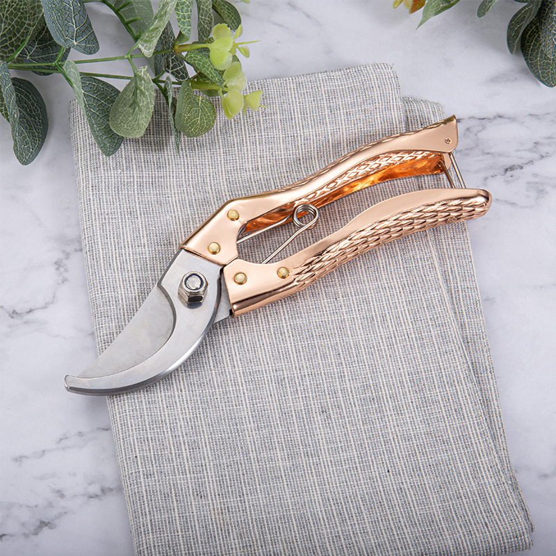 果枝剪锋利修花修枝剪家用盆景树枝剪园林剪刀 园艺果树工具