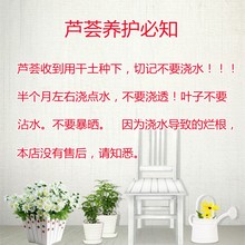 ?�J�C���Բ�ҹ�Ƕ���ֲ���ͺ����B�҃ȿ͏d�����՚��̨����