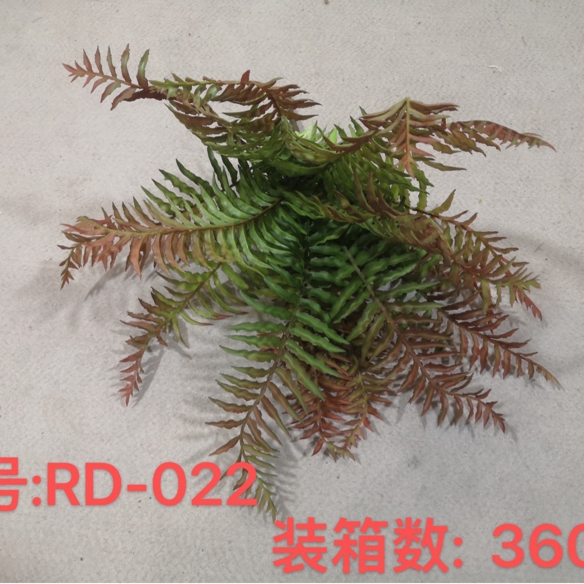 NO.13 Autumn Color Encryption