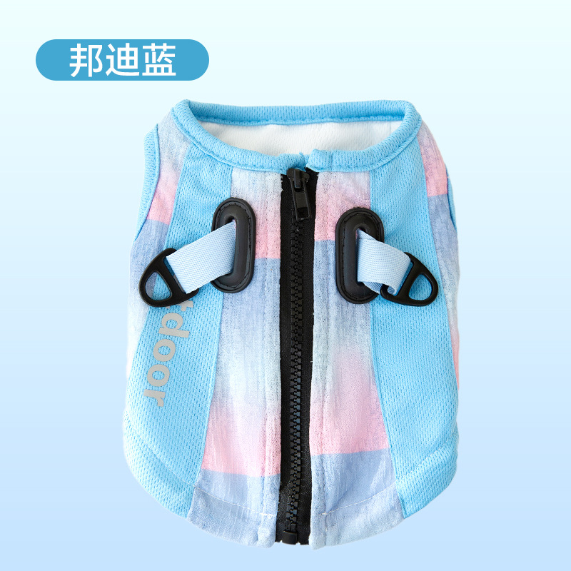 본다이 블루