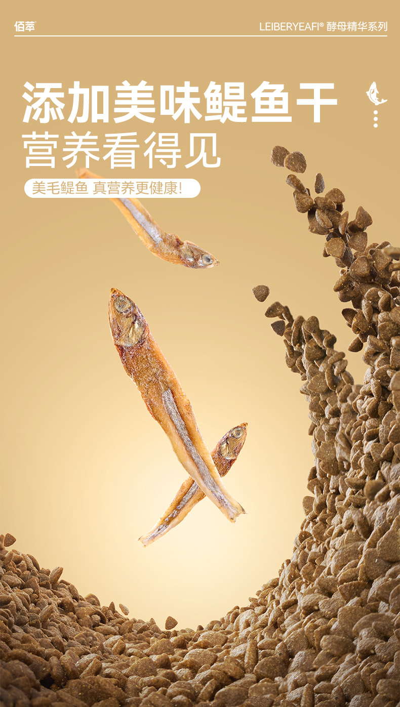 鯷鱼_10