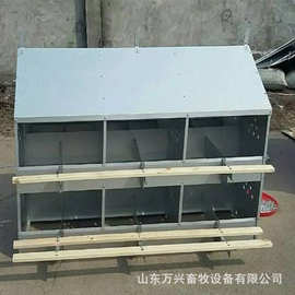 厂家供应鸡蛋窝24穴产蛋箱双层多穴产蛋箱散养蛋鸡用图片、规格