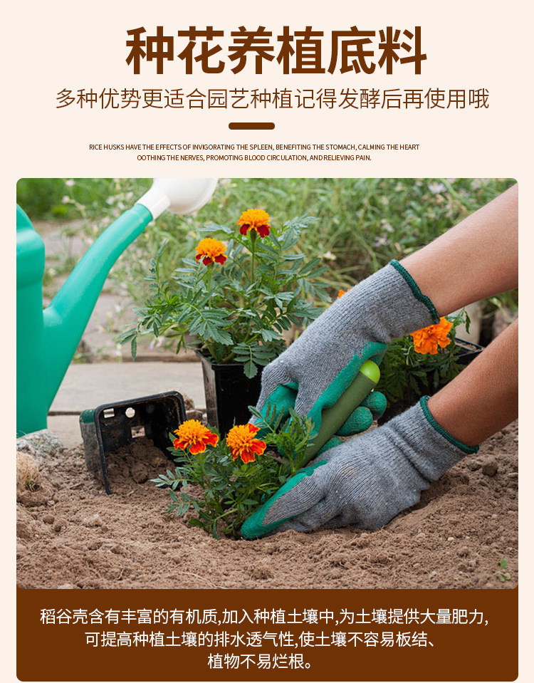 c370561f-a980-4e2a-9fbf-e7438b26f03d.jpe