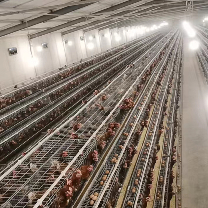 微信图片_202208311137303