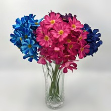 �S��ֱ�l���滨36�䲨˹�տ羳���x���滨��Y�Ҿ��b�ˇ������