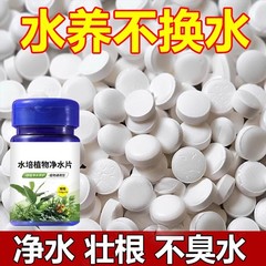 水耕植物浄水タブレット、消臭、殺菌、消毒、富竹ボウル、スイレン専用浄水タブレット、花保存タブレット
