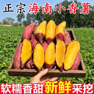 ���ں���С�����a��ֱ�l���r�t��9�����ɳ�������عϷ�������