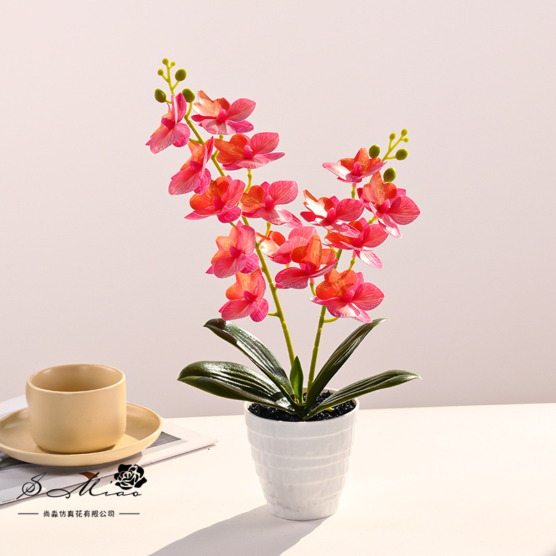 15 flores Phalaenopsis bonsai flor artificial moda creativa decoración de flores decoración artificial planta verde simulación pequeña en maceta image 4
