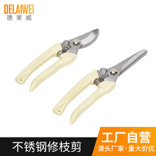 �@�ּ�����֦��@ˇ�������֦�􏗻ɲ����Ә�֦���޻������