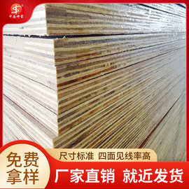 工地用建筑模板 松桉结合多层板 周转高 中南神箭厂家