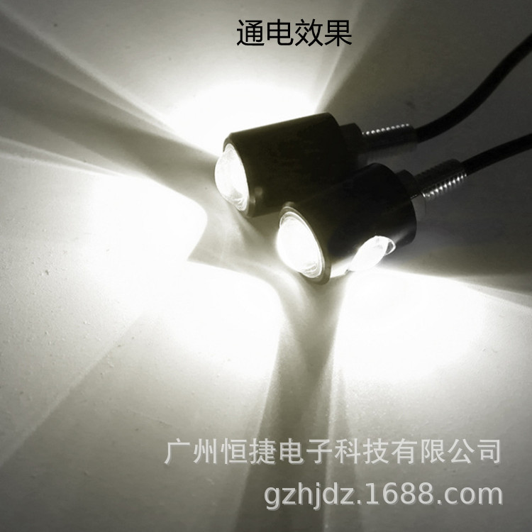 Luz de Matrícula LED Doble para Motocicleta, Tornillo de Alta Potencia, Luz Inversa Tipo Ojo de Águila - Luz Decorativa para Coche