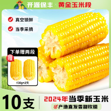 �|���������SŴ���r��ͯŴ��������������i�r��ʳ������װ�10֧