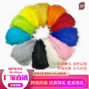 �i�깤�S���l�F؛��ë60-65cm�r�Bë���U���|�����z�q��̨����