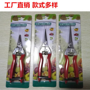 Stainless steel fruit picking scissors sparse fruit scissors pruning scissors flower scissors pepper citrus grape grapefruit picking scissors fruit scissors