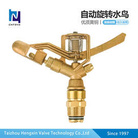 亚马逊专供抗腐蚀 园艺工具  高质量黄铜摇臂喷头 360°洒水