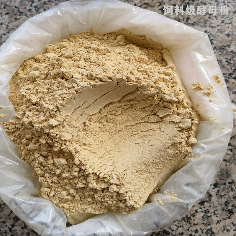 供应饲料酵母粉淡黄色酵母粉饲料原料首先 量大价优