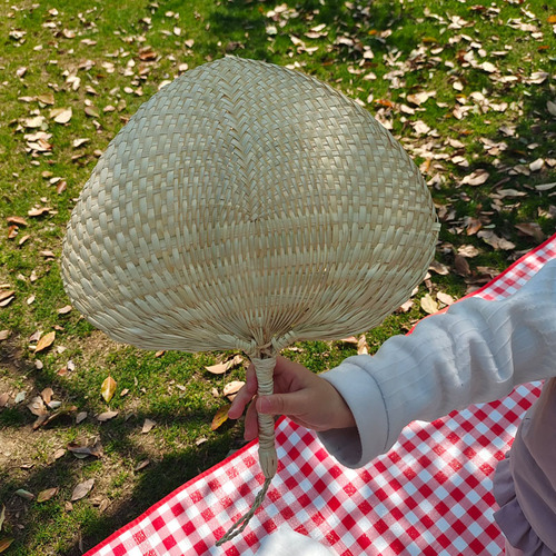 Summer Fan Handmade Old Chinese Style Retro Grass Weaving Baby Mosquito Repellent Fan Rice Leaf Fan Custom Made