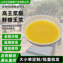 蜂皇浆 直采自销蜂王浆 定制礼盒装沂山新鲜蜂王浆批发现货蜂皇浆