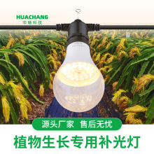 华畅15W火龙果补光灯泡LED全光谱植物生长灯草莓番茄黄瓜百香果灯