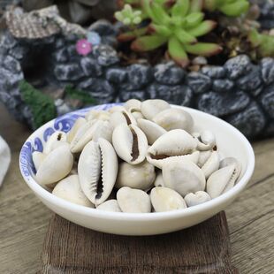 ��ؐ�X��ؐ��ؐ�X��ؐ��ؐ���������X��֧��