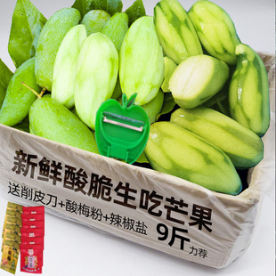 �J׼����â�������r��â��������â�����������}â���rˮ��һ����