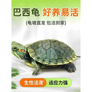 ��H�����w���������������^�p��������t������ˮ��������B�L��